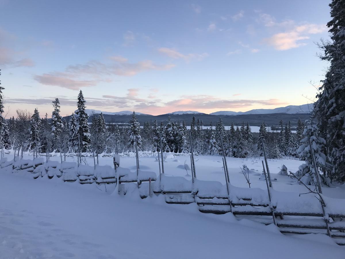 Ottsjoe Bear Lodge Luaran gambar